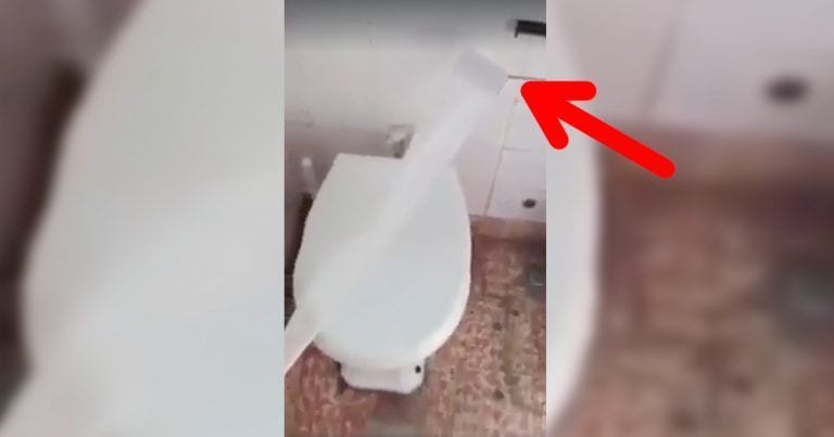 El papel higiénico como diversión