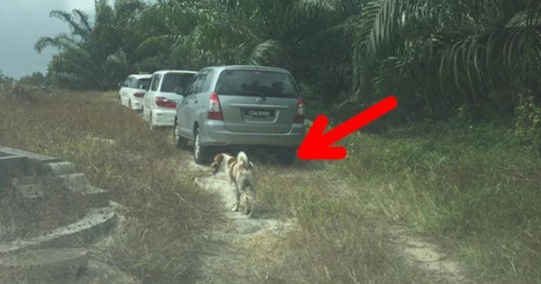 Bobby corrió por toda la carretera para despedir a su persona preferida