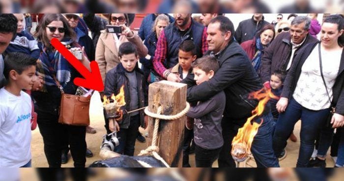 toros taller menores