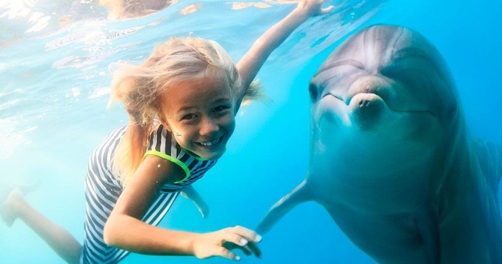 viajar sin maltratar animales