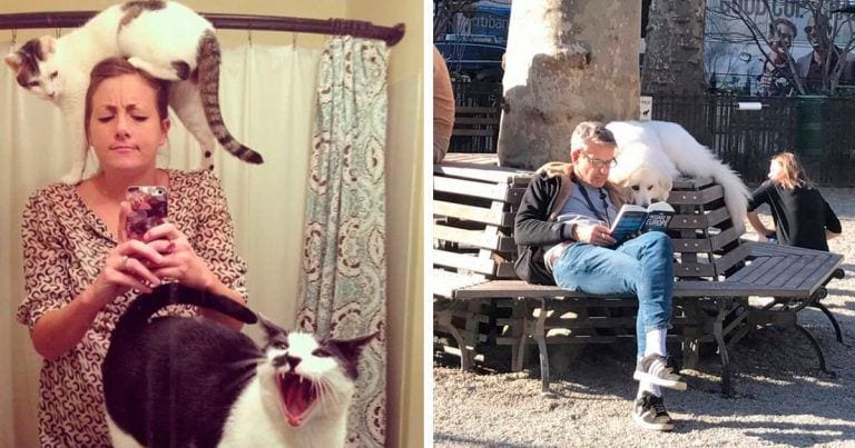 16 divertidos animales que pase lo que pase no se despegan de ti