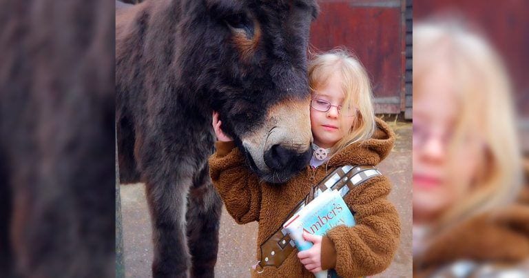 La amistad entre un burro abandonado y una niña muda, una gran conexión