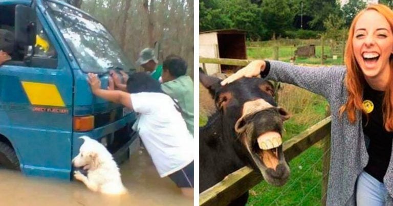 10 animales que van a sacarte una sonrisa en menos de dos segundos