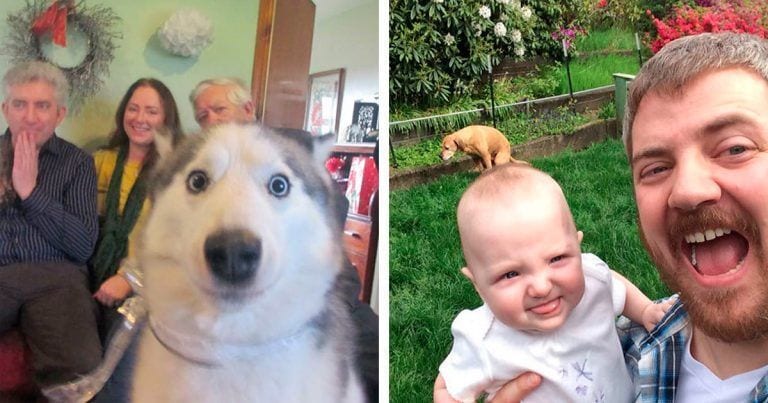 15 perros que no quisieron perderse salir en una buena foto