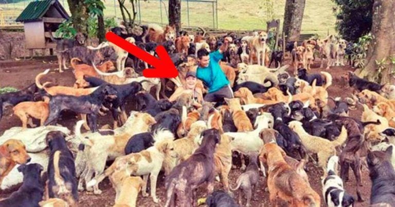 Lya ayuda cada día a cientos de perros abandonados