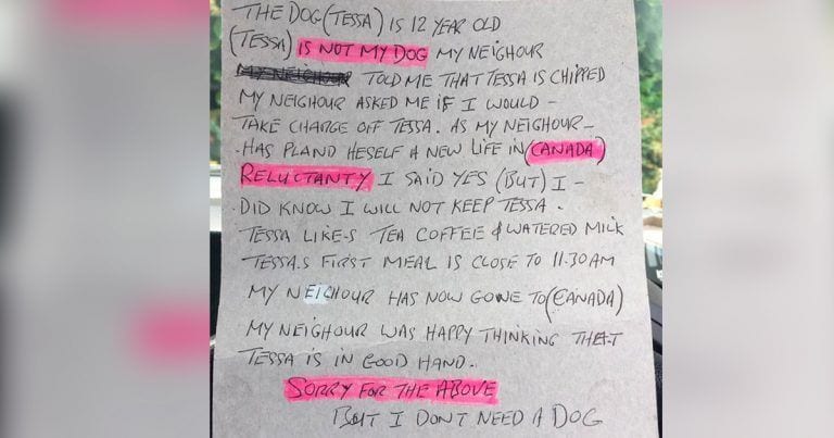 Se encuentran esta carta junto a un perro abandonado y las redes arden