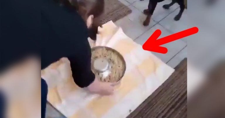 El vórtice de los perritos, un raro fenómeno meteorológico