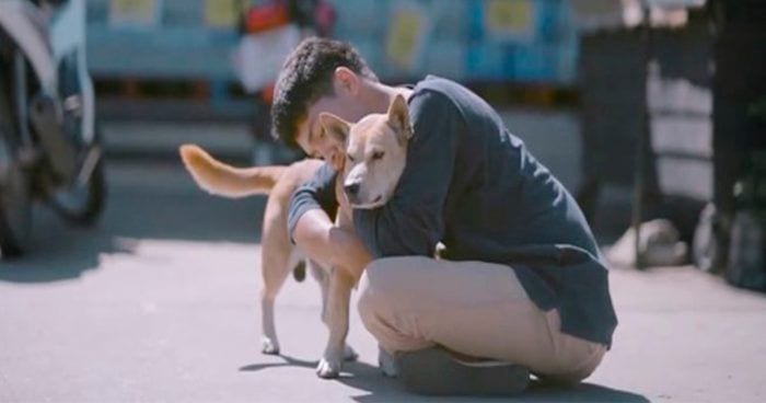 joven abraza perros