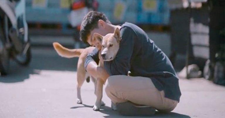Abrazos con los perros sin hogar, sencillamente admirable