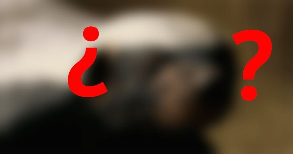 mamifero mas peligroso