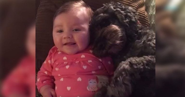 Un perro protege de las llamas a una bebé y le salva la vida