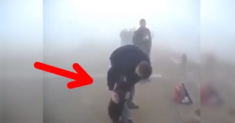 Un osezno al ser rescatado por un bombero da mucha ternura