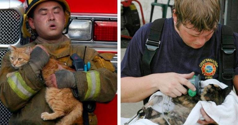 10 bomberos que se convirtieron en los mejores amigos de los animales