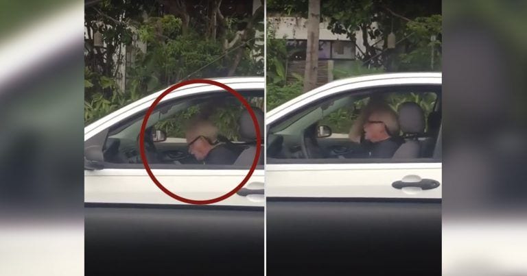 El rock nunca muere: anciano escuchando Metallica en el coche