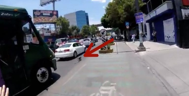 Una ciclista ve a un perro corriendo entre los coches y empieza una espectacular persecución