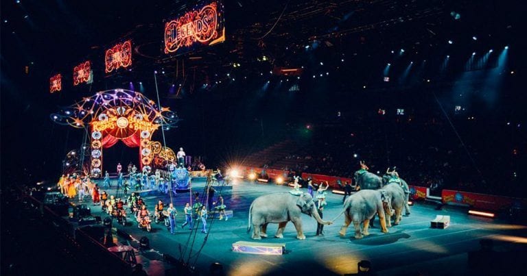 Nueva York prohibió hace un año los circos con animales, ¿es necesaria esta medida?