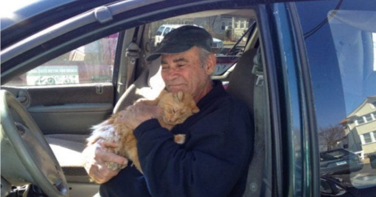 La historia del anciano que lleva 24 años cuidando gatos callejeros