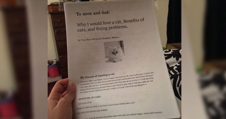 Una niña hace un informe de 6 páginas argumentando por qué su familia debería adoptar un gato