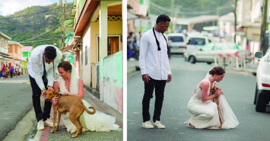 jugador nfl boda perros destacada
