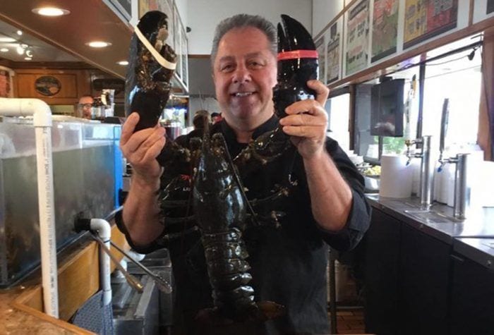 langosta liberada destacada