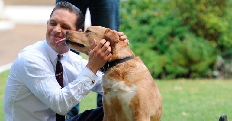El actor Tom Hardy dedica una carta de despedida a su perro, ¡inolvidable!