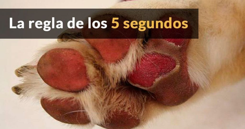 regla 5 segundos dest1