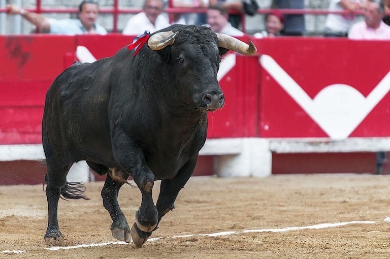 ¿Sabes qué dice la tradición taurina que hay que hacer cuando un toro mata a un torero?