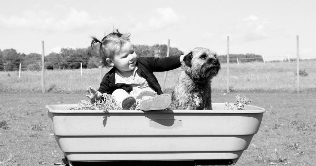 beneficio salud mascotas