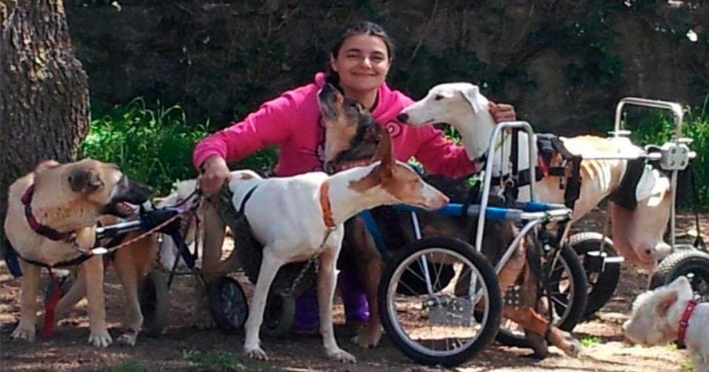 bichos raros destacada