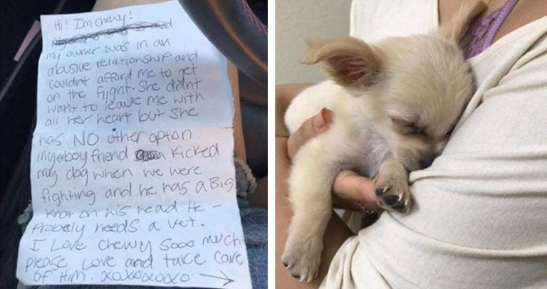 Encontraron a un cachorro abandonado junto a una nota descorazonadora