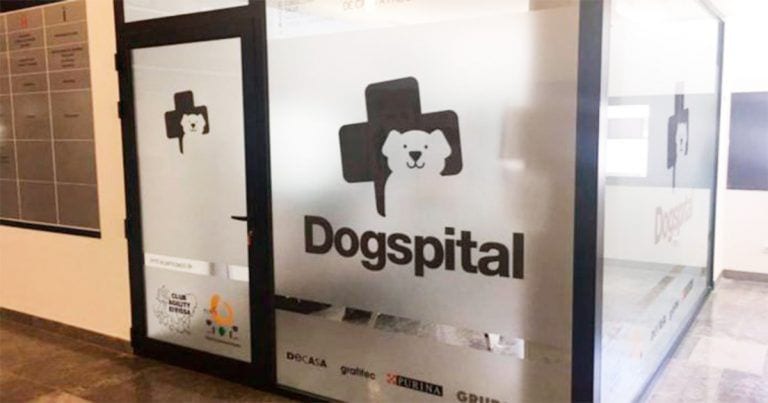 La bonita iniciativa de un hospital para que los perros puedan visitar a sus dueños enfermos