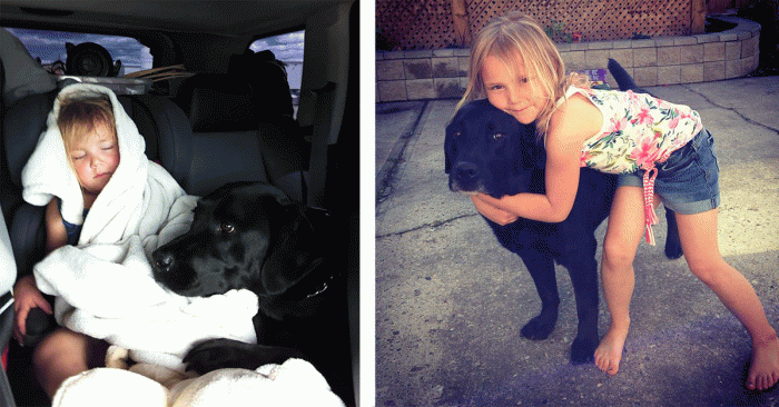 ninia adopcion perro