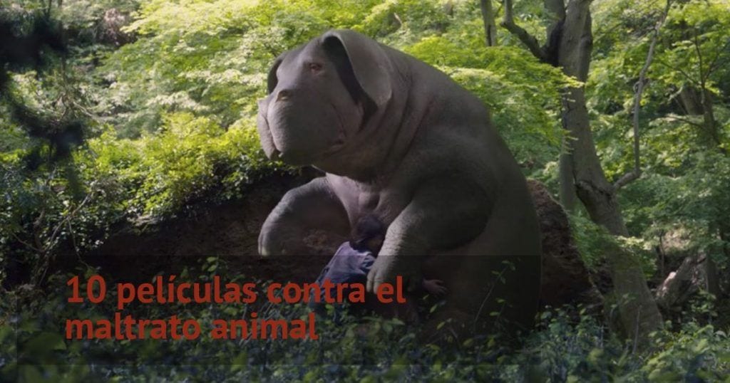 peliculas maltrato animal