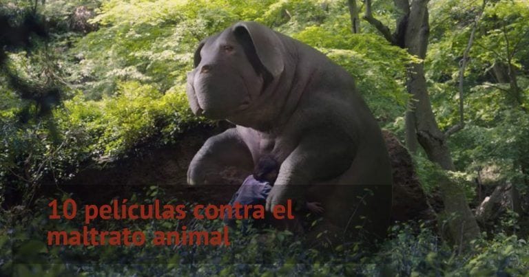 Diez películas contra el maltrato animal