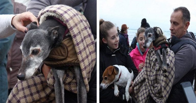 Este perro tenía que ser sacrificado pero su dueño consiguió darle la mejor despedida