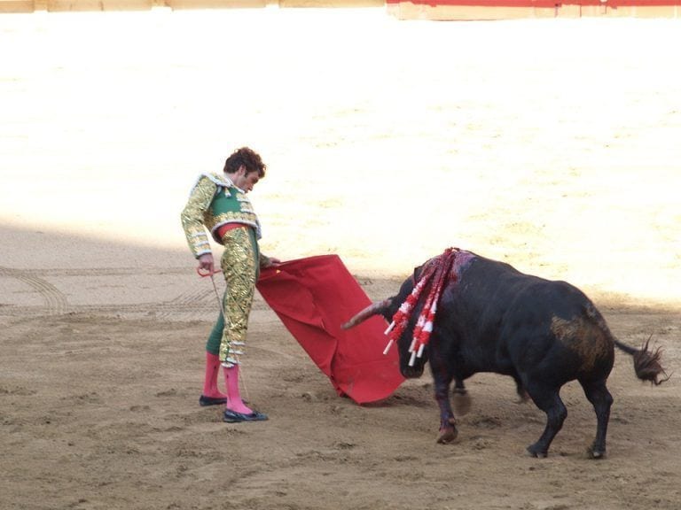 En las Islas Baleares, España, han prohibido matar al toro en las corridas