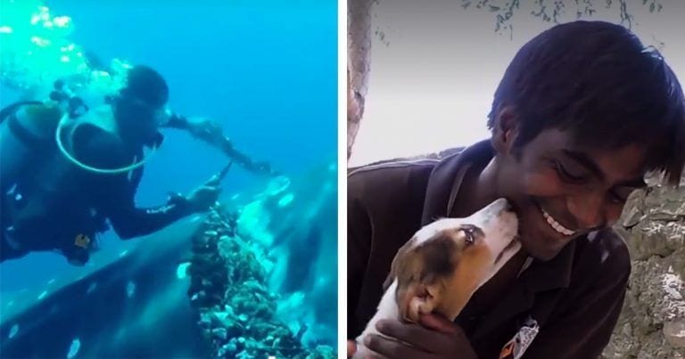 Esto es lo que les pasa a las personas que deciden ayudar a los animales