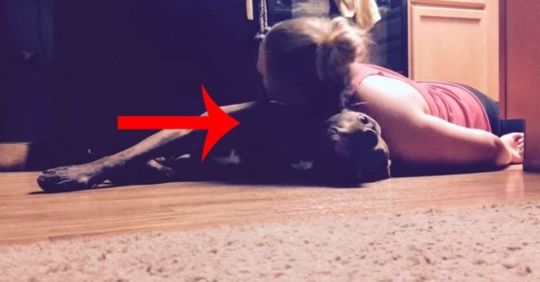 El perro se acuesta bajo la cabeza de su dueña cada día para salvarle la vida