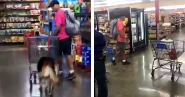 Incredulidad frente a lo que hace el perro en un supermercado