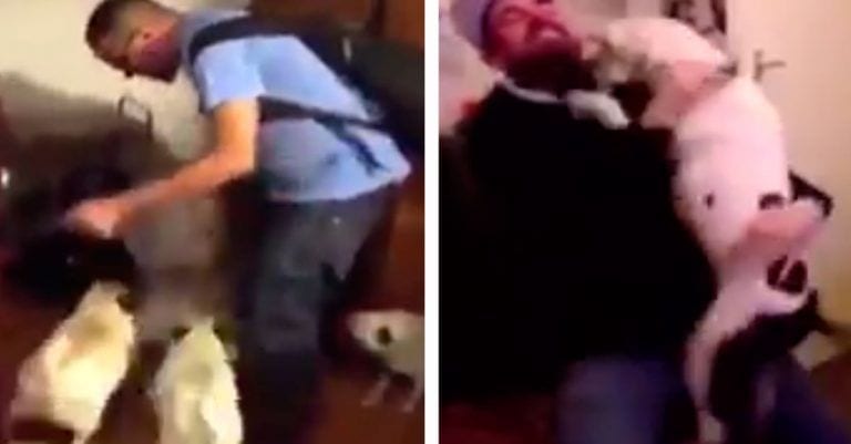 El momento en el que estos perros se reencuentran con sus dueños es, sencillamente, adorable