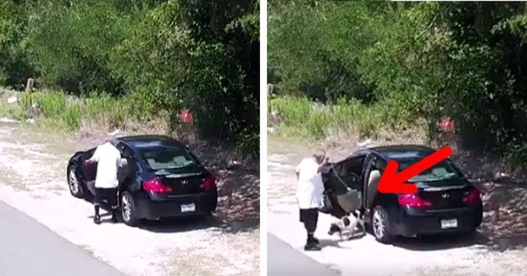 Lamentables imágenes de un abandono animal