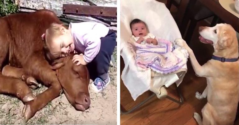 Los niños y los animales tienen una relación muy especial
