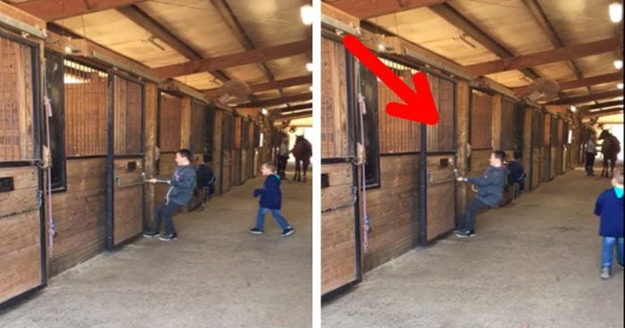 caballo fuerza destacada