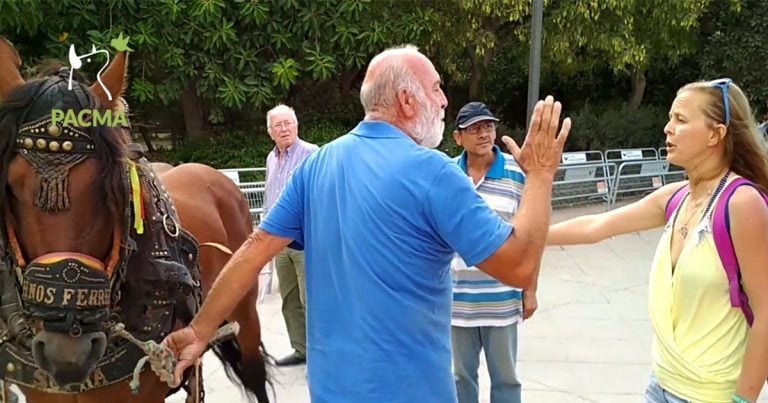 Una turista se horroriza al ver el maltrato animal en el Tiro y Arrastre de Valencia