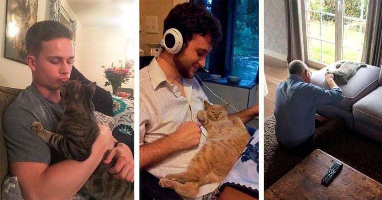 10 gatos que demuestran ser cariñosos y adorables