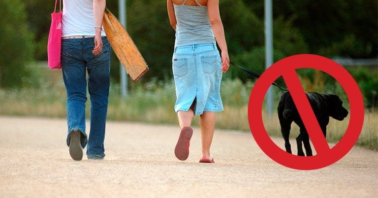 ¿Y si te prohibiesen pasear a tu perro durante el día? Ocurre en una localidad española