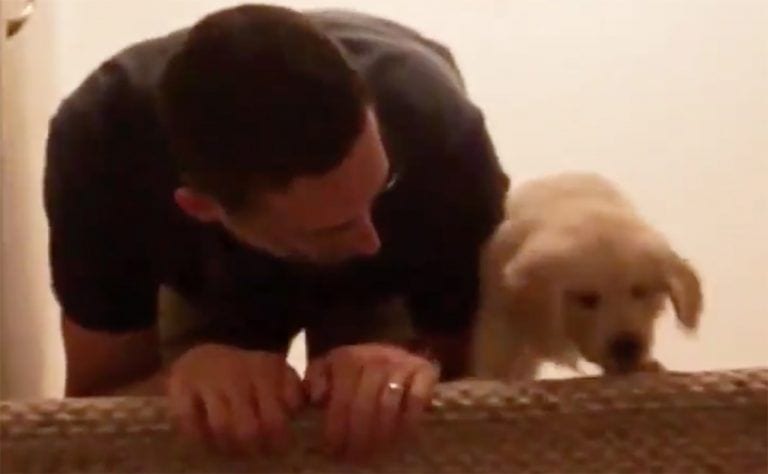 Se pone a cuatro patas junto a su perro en la escalera, y vas a adorar el motivo