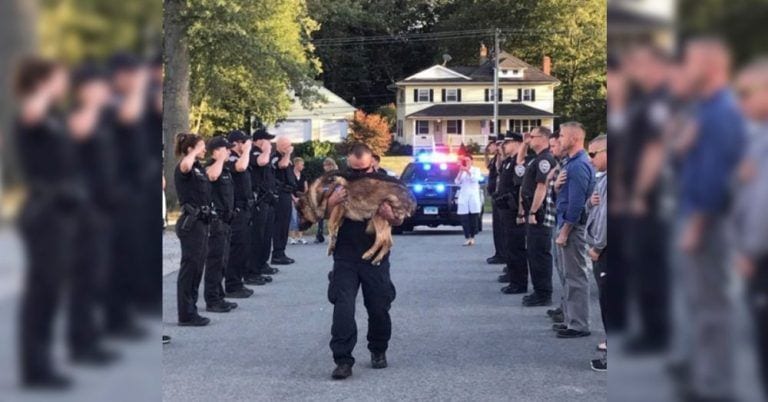 Todos los agentes del cuerpo ofrecen sus respetos a un perro policía con cáncer en su emotiva despedida