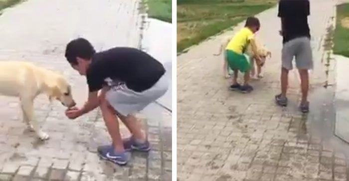 perro sediento ninios