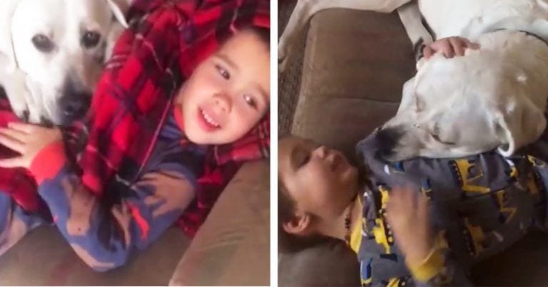Inseparables, el perro ayuda al niño autista a integrarse mejor